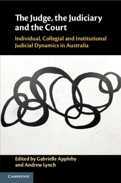 The judge, the judiciary and the court book cover