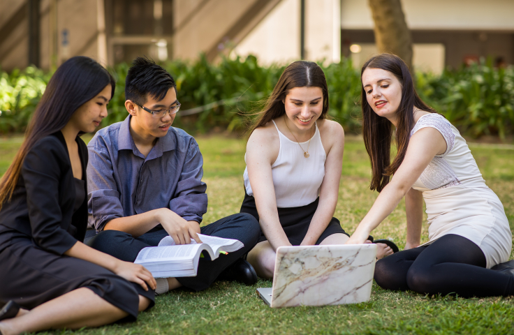 Students studying on lawn